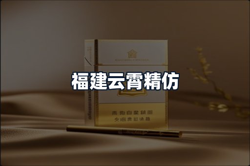 福建云霄精仿